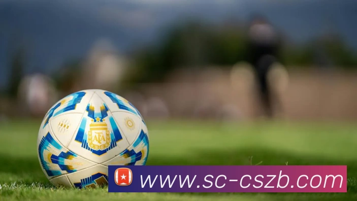 彩神争霸服务体系